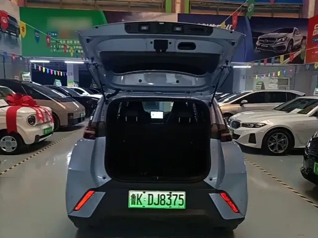 BYD Seagull — Фото автомобиля 18