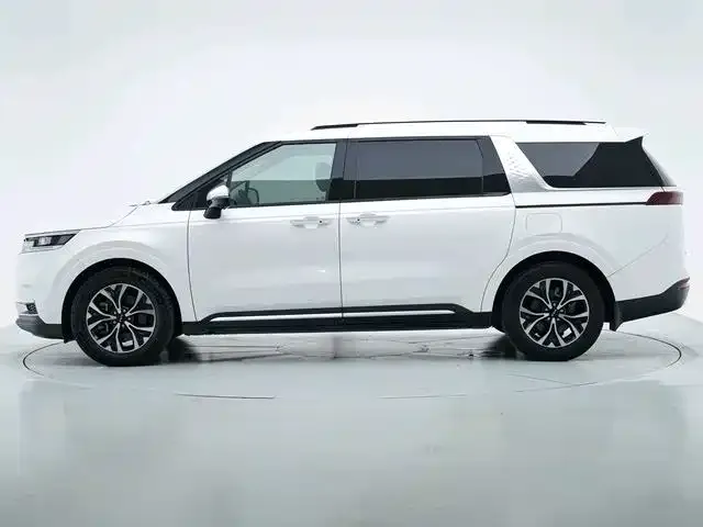 Kia Carnival — Фото автомобиля 8