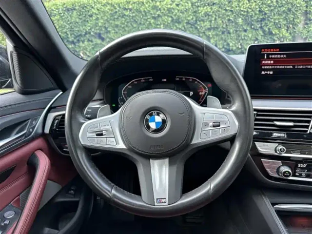 BMW 5 Series — Фото автомобиля 8