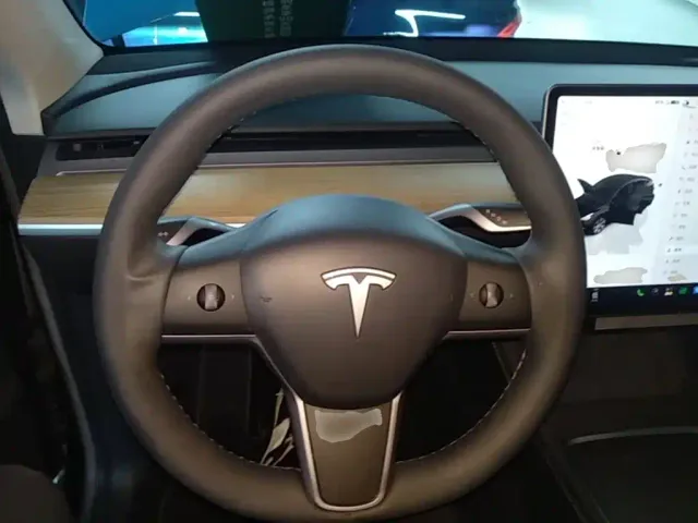 Tesla Model Y — Фото автомобиля 10
