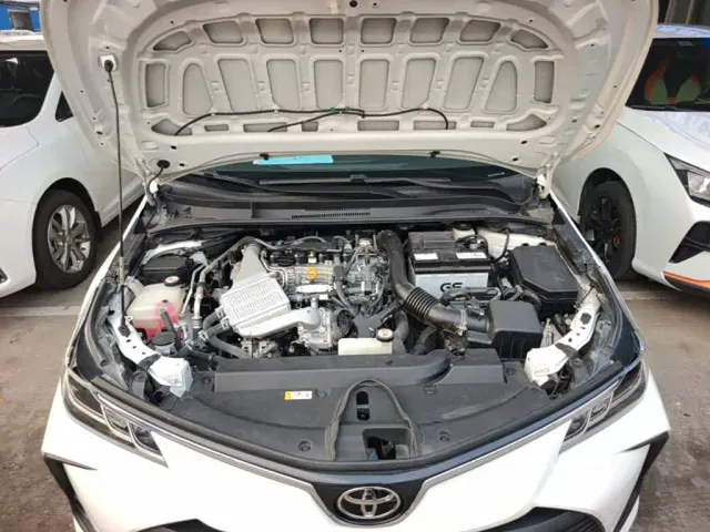 Toyota Corolla — Фото автомобиля 19