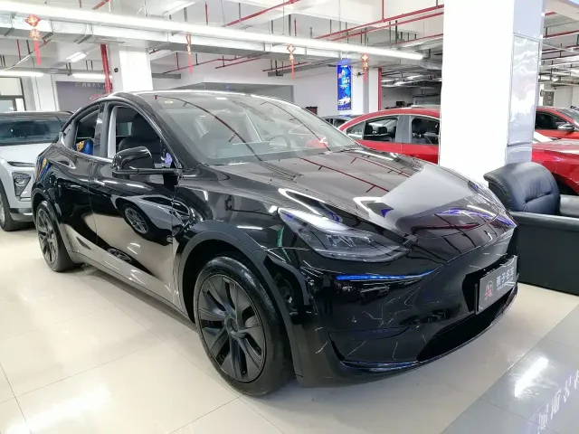 Tesla Model Y — Фото автомобиля 3