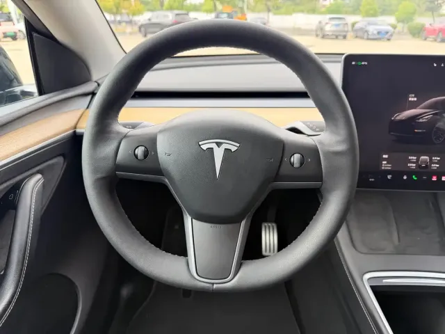 Tesla Model Y — Фото автомобиля 10