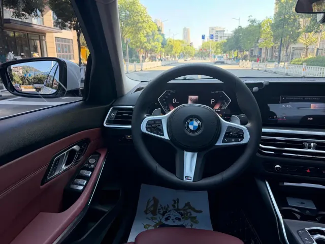 BMW 3 Series — Фото автомобиля 7