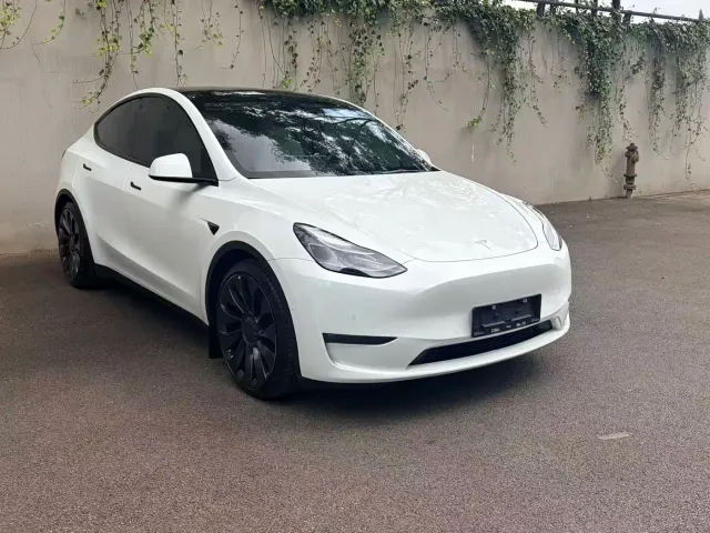 Tesla Model Y — Фото автомобиля 4