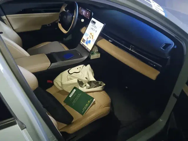 Geely Galaxy L6 — Фото автомобиля 19