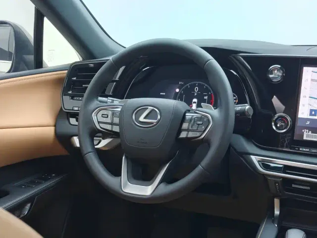 Lexus RX — Фото автомобиля 19