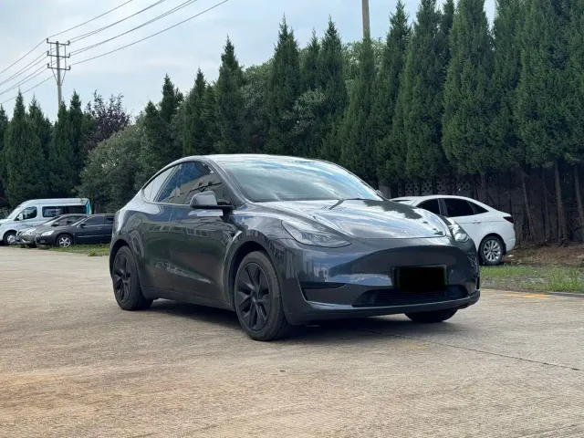 Tesla Model Y — Фото автомобиля 3