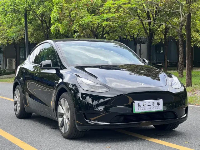 Tesla Model Y — Фото автомобиля 3