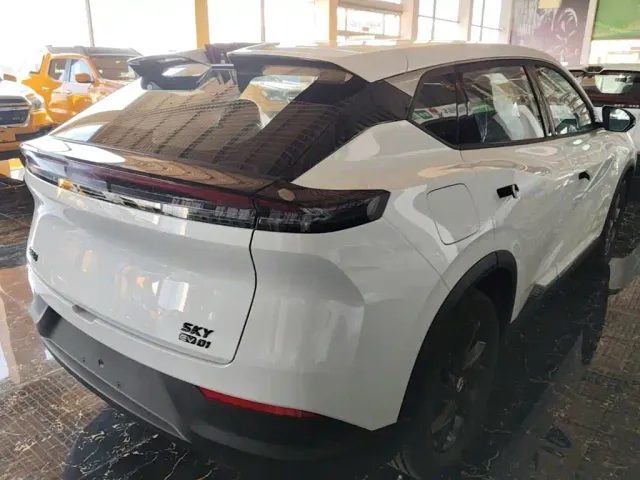 Dongfeng SKY EV01 — Фото автомобиля 6