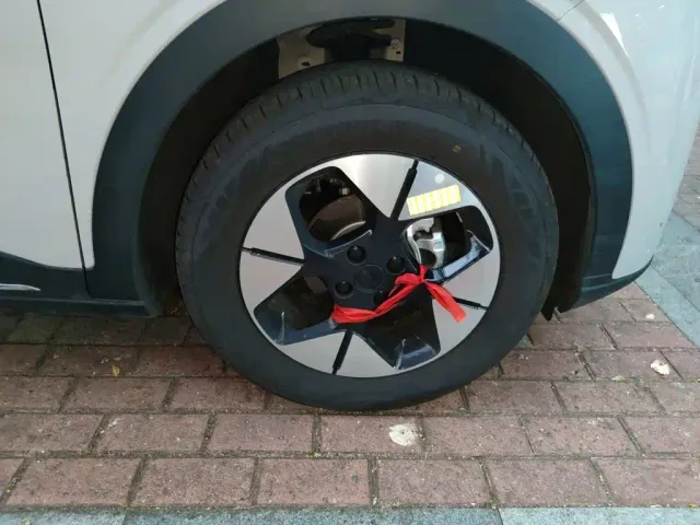 Geely Starry Wish — Фото автомобиля 25