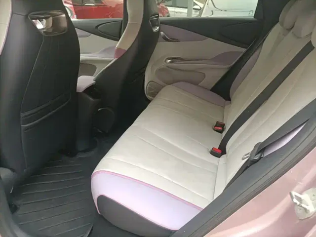 BYD Dolphin — Фото автомобиля 16