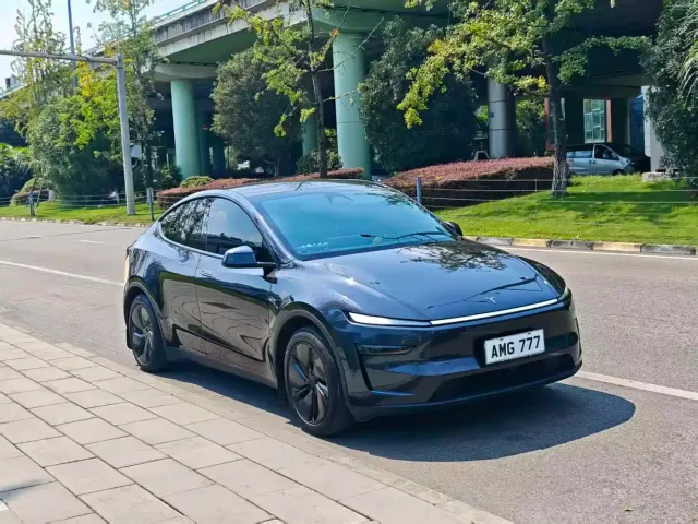 Tesla Model Y — Фото автомобиля 3