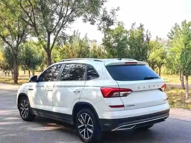 Skoda Kamiq — Фото автомобиля 11
