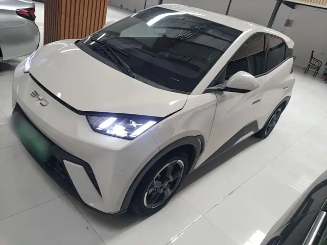 Фотография автомобиля — BYD Seagull