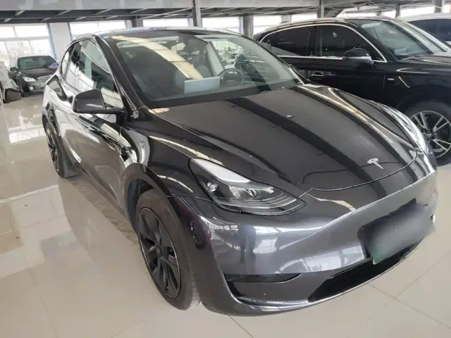 Tesla Model Y — Фото автомобиля 3