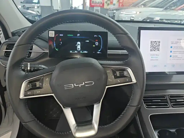 BYD Destroyer 05 — Фото автомобиля 10