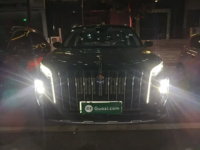 Hongqi HS7 PHEV — Фото автомобиля 2
