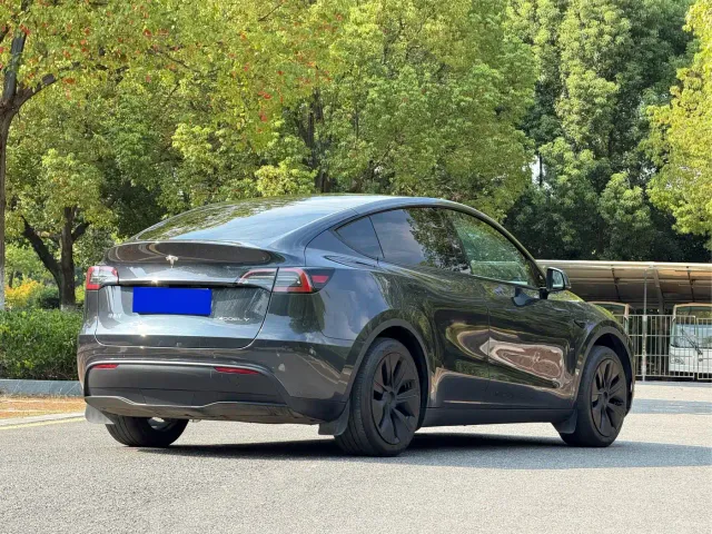 Tesla Model Y — Фото автомобиля 6