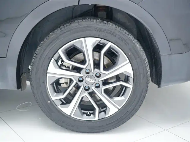 Chery Tiggo 7 PLUS — Фото автомобиля 22