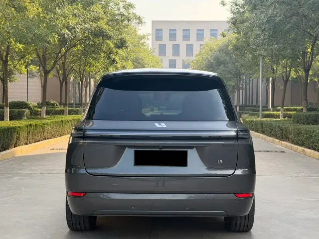 Li Auto L9 — Фото автомобиля 16
