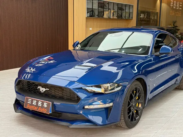 Ford Mustang — Фото автомобиля 9