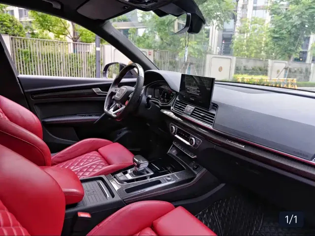 Audi SQ5 — Фото автомобиля 10