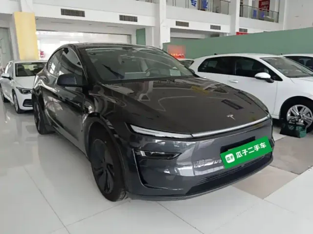 Tesla Model Y — Фото автомобиля 3