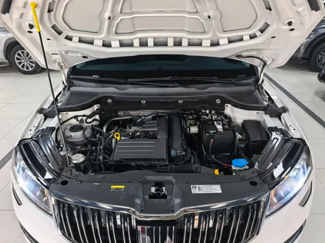 Skoda Karoq — Фото автомобиля 17