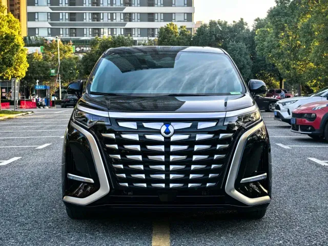 Denza Denza D9 2024 DM-i 980 AWD Prestige — Фото автомобиля 4