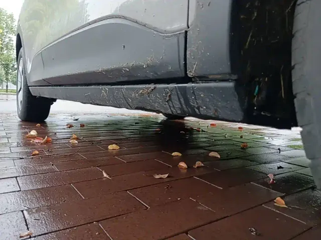 Geely Starry Wish — Фото автомобиля 20