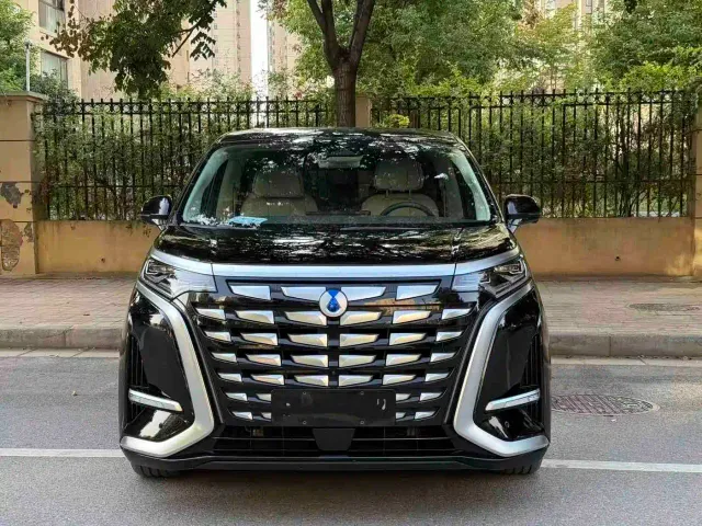 Denza D9 — Фото автомобиля 2