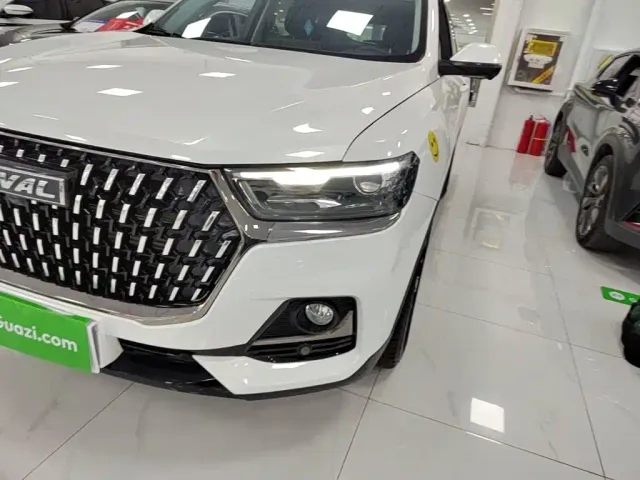 Haval Haval H6 2023 National Trend Edition 1.5T Automatic Champion — Фото автомобиля 23