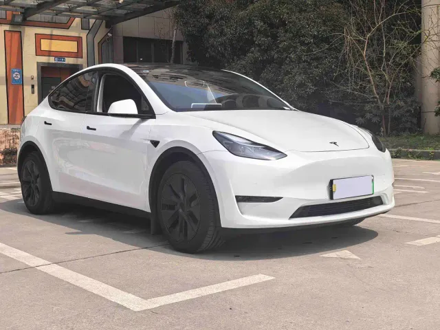 Tesla Model Y — Фото автомобиля 3