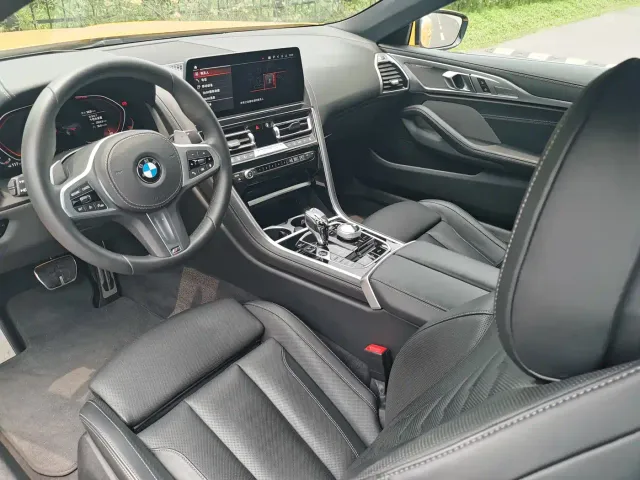 BMW 8 Series — Фото автомобиля 17