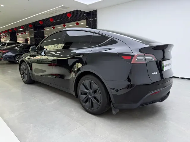Tesla Model Y — Фото автомобиля 4