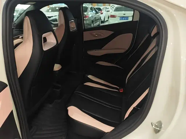 BYD Seagull — Фото автомобиля 16