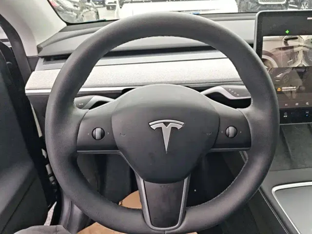 Tesla Model Y — Фото автомобиля 10