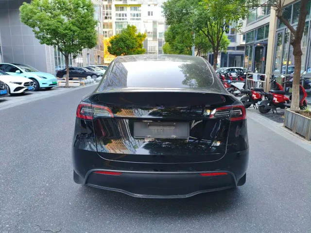Tesla Model Y — Фото автомобиля 9