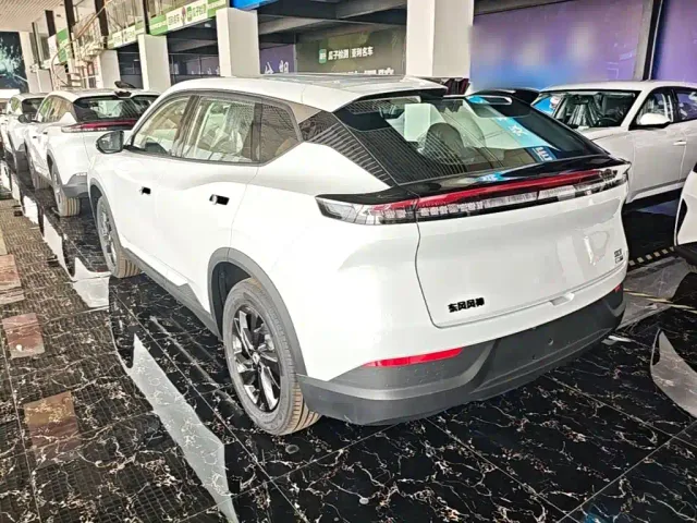Dongfeng SKY EV01 — Фото автомобиля 22