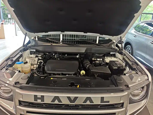 Haval Big Dog — Фото автомобиля 19