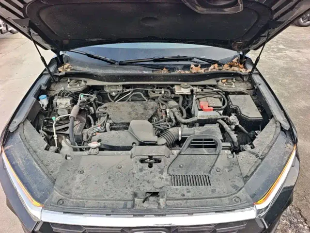 Honda CR-V — Фото автомобиля 19