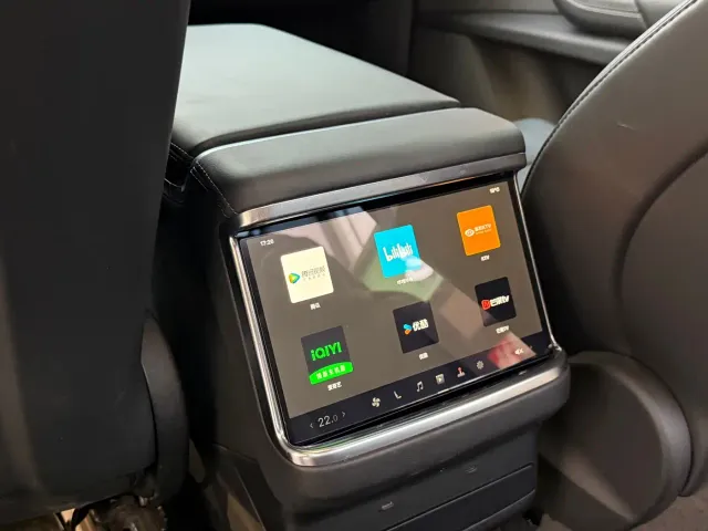 Tesla Model X — Фото автомобиля 13