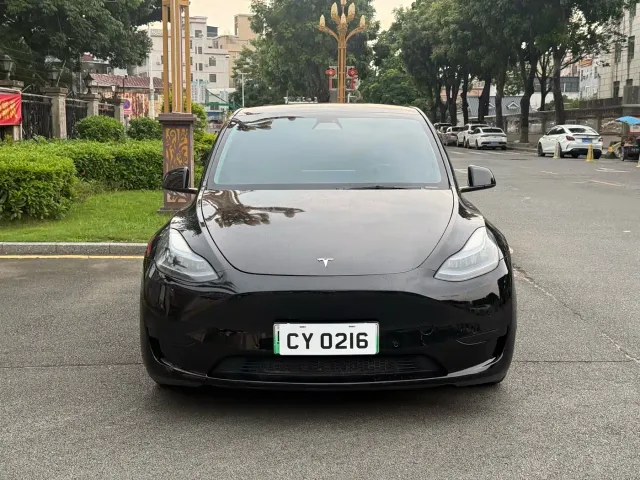 Tesla Model Y — Фото автомобиля 2