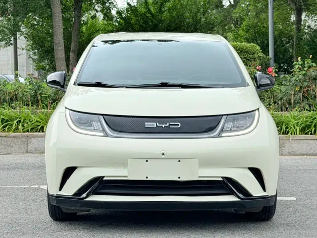 BYD Dolphin — Фото автомобиля 2