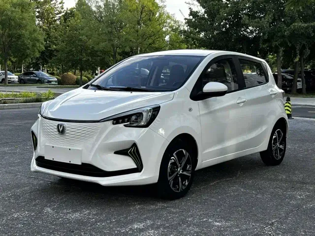 Фотография автомобиля — Changan Benben E-Star