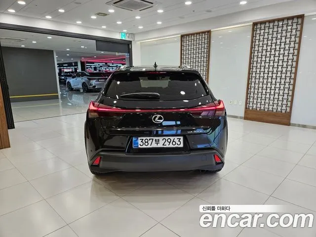 Lexus UX UX300h — Фото автомобиля 4