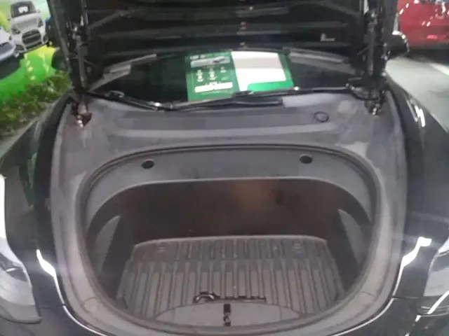 Tesla Model 3 — Фото автомобиля 19