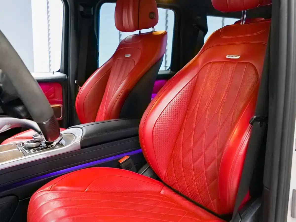 Mercedes-Benz Mercedes-Benz G-Class 2022 G 500 — Фото автомобиля 18