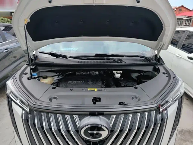 GAC Trumpchi M8 — Фото автомобиля 19
